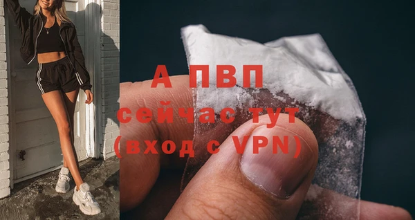 спайс Киренск