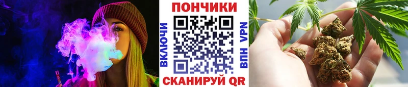 Шишки марихуана OG Kush  Купить где  Нолинск 